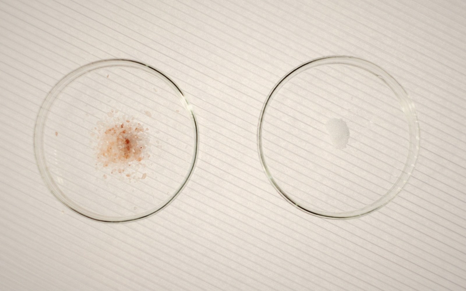 Three prepared wax samples in identical clear vessels set side by side under raking side-light, showing the colour and texture differences between them